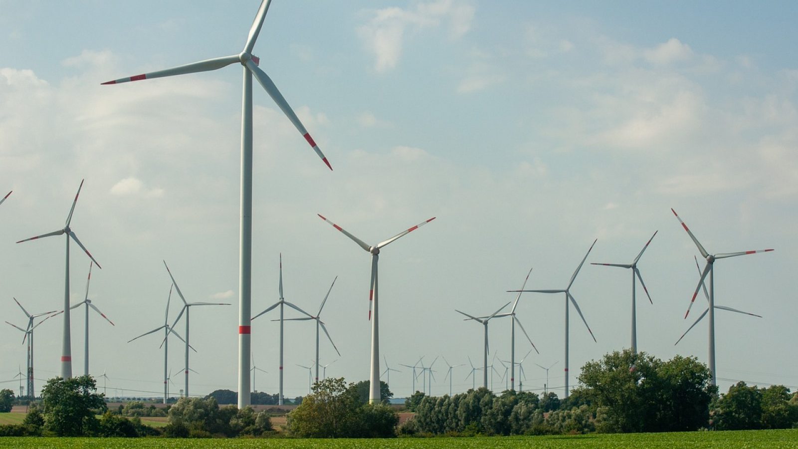 Windpark (Foto: wal_172619/pixabay)