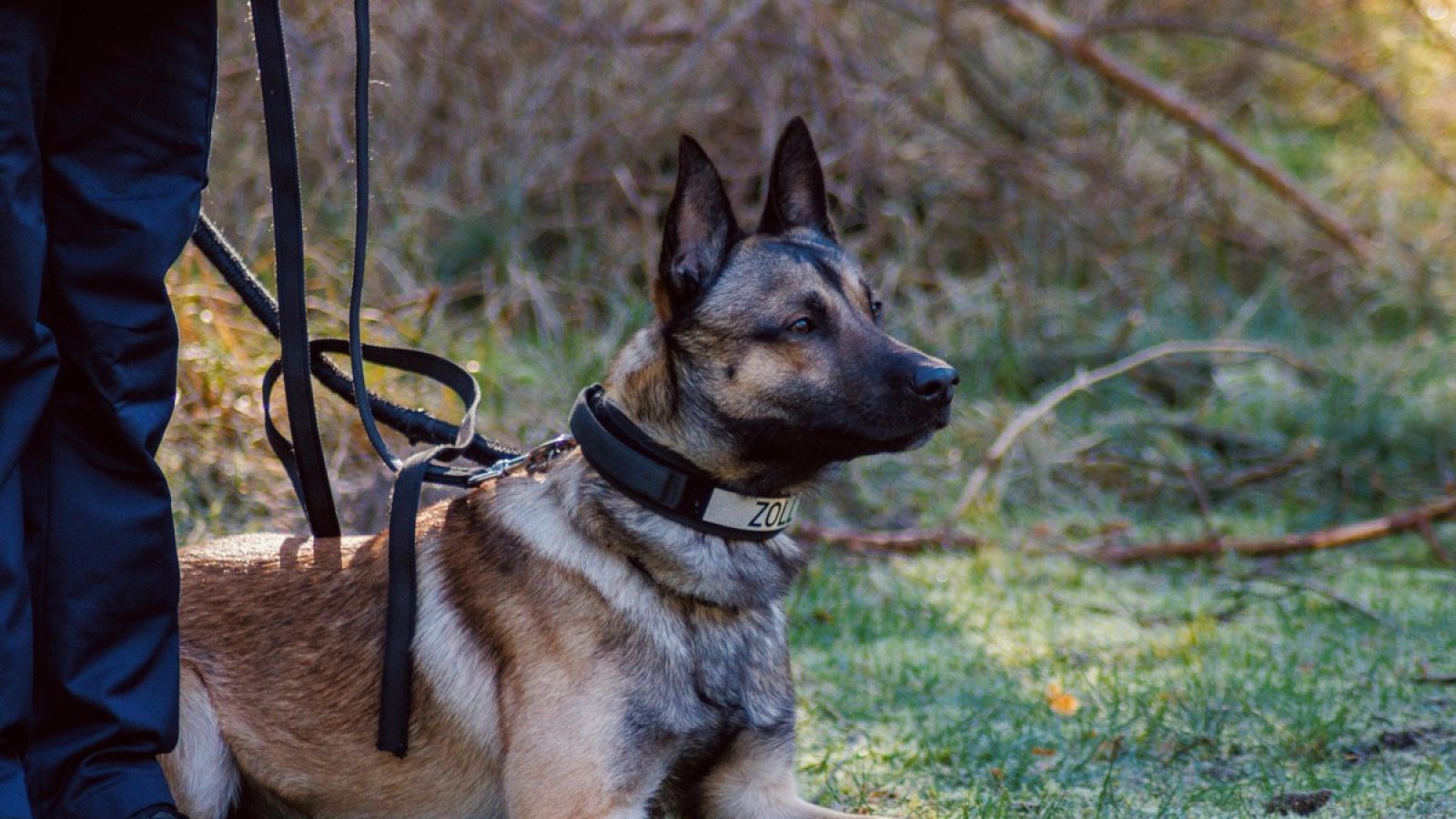 Bild: Hauptzollamt Osnabrück